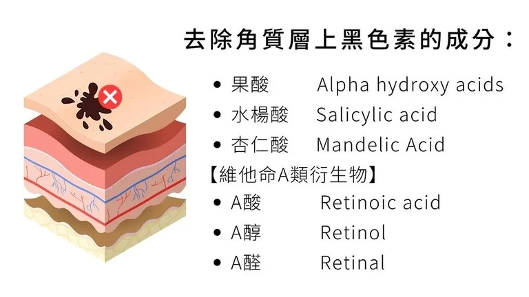 美白成分 保濕成分 