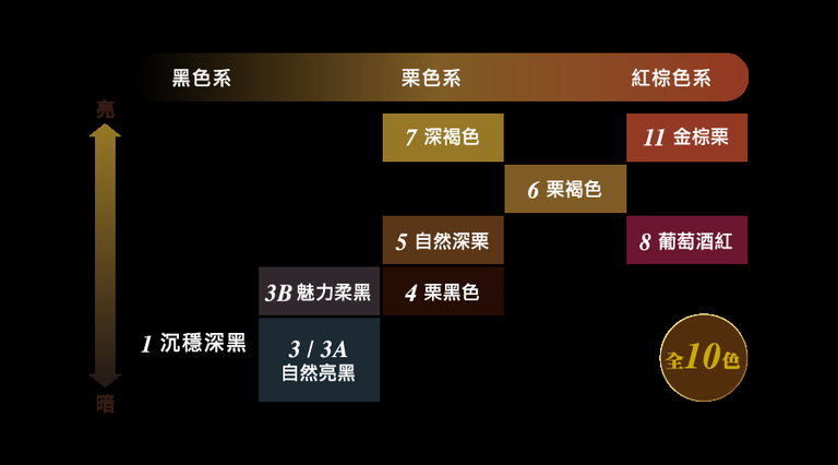 566染髮劑方法 